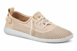 Spring Step Skyharbor