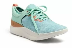 MOSHN By Klogs Rhythm