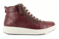 Strive Kensington -Sneakers shop 3510 02901 2960 190 3