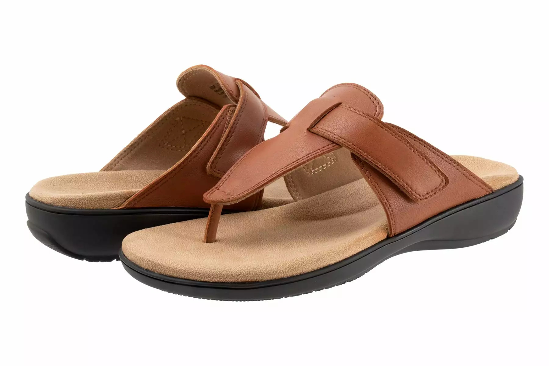 Trotters Robin 10 Trotters Robin - Image 8