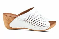 Spring Step Cunacena