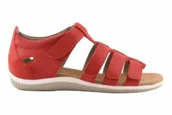 David Tate Shala -Sneakers shop 3610 01394 2317 356 6 c8f2beba 2d36 48db b1a3 606f827eceb5