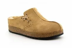 Haflinger Saskatchewan