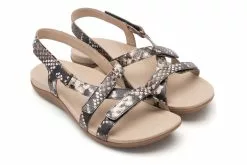 Abeo Ollie -Sneakers shop Abeo Ollie Snake 8 50ae4caa 088e 480f adb1 f59d4d15dabb