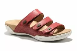 Halsa Footwear Delight